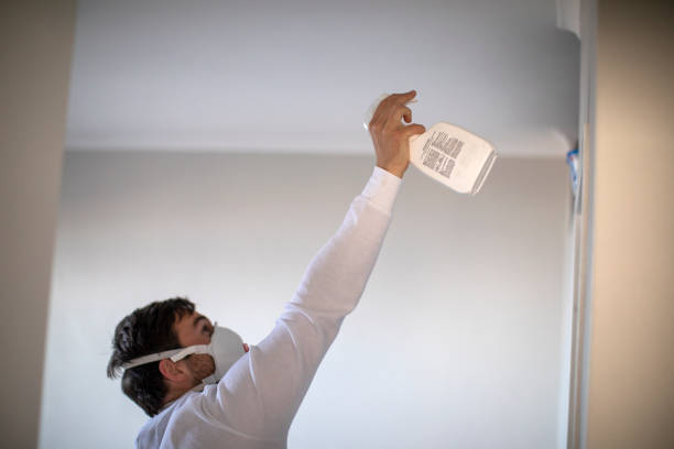 Best Commercial Mold Remediation in Lyons, GA